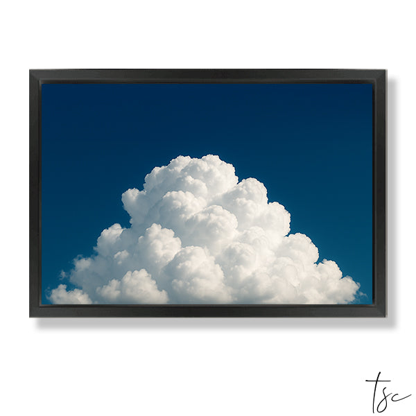 Crowned In Light framed